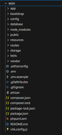 Composer Version Output