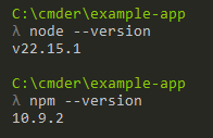 Node and NPM Version Output